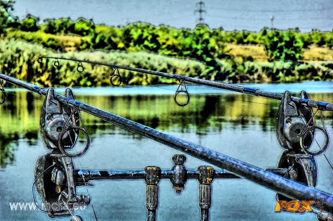 MeetCarp Romanian Awards 2013 (2) - 1016872hdrmode2-2.jpg